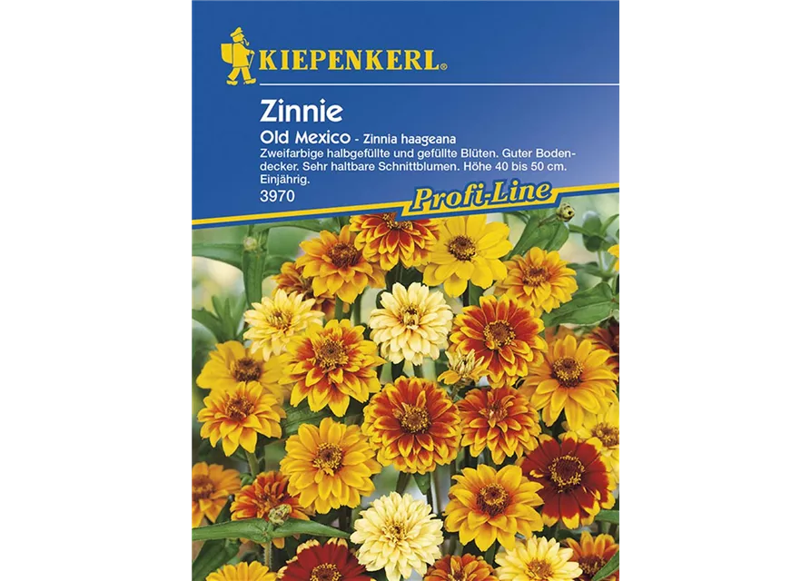 Zinnia Old Mexiko Preisgruppe D