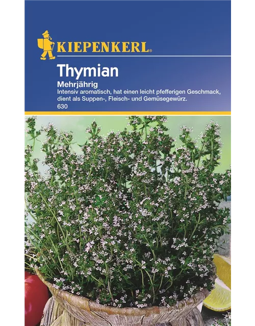 Thymian mehrjährig