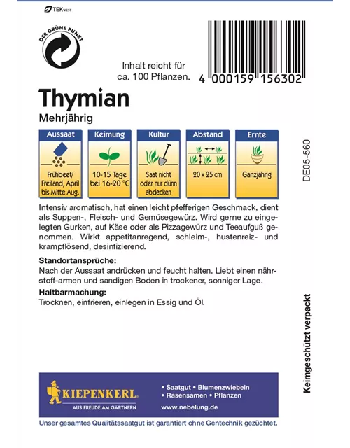 Thymian mehrjährig