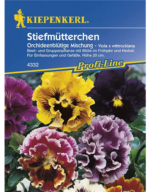 Viola Orchideenbluet. Mix Preisgruppe K