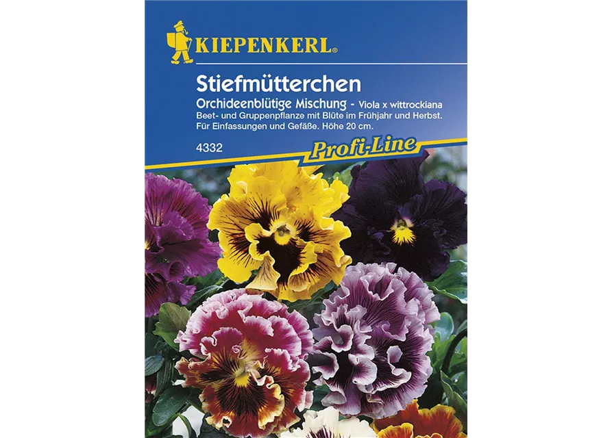 Viola Orchideenbluet. Mix Preisgruppe K