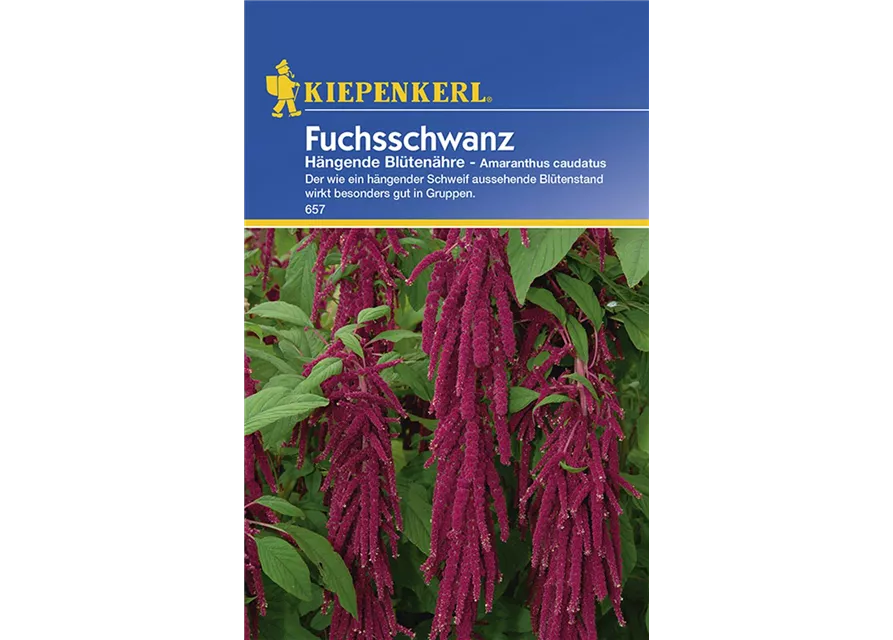 Amaranthus Haengend Rot Preisgruppe B