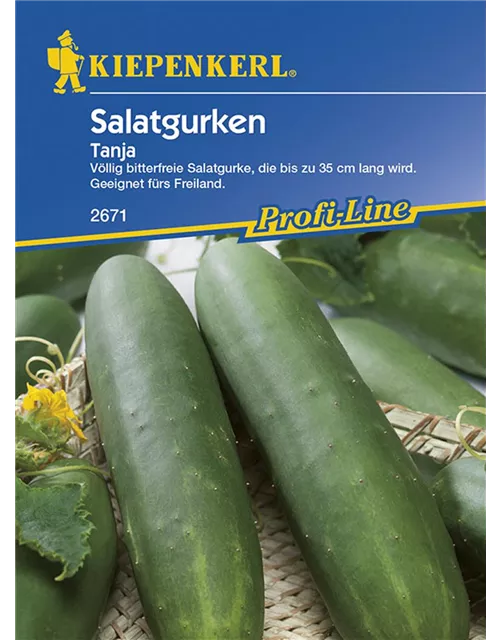 Salatgurken Tanja Preisgruppe G