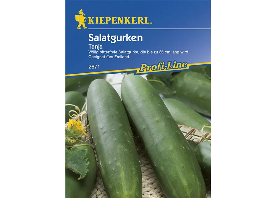 Salatgurken Tanja Preisgruppe G