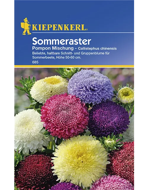 Callist.Pompon-Aster Mix Preisgruppe C