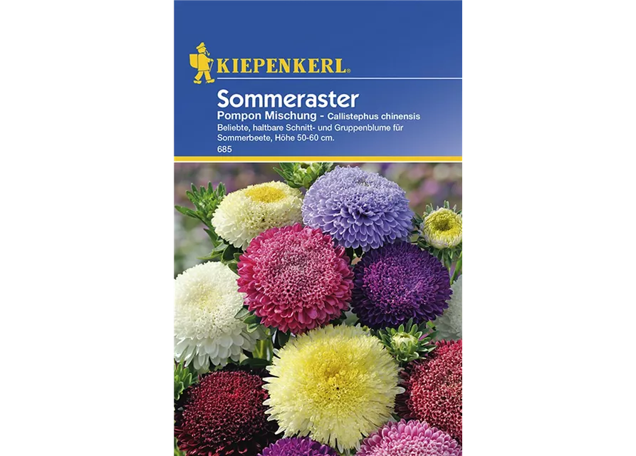 Callist.Pompon-Aster Mix Preisgruppe C