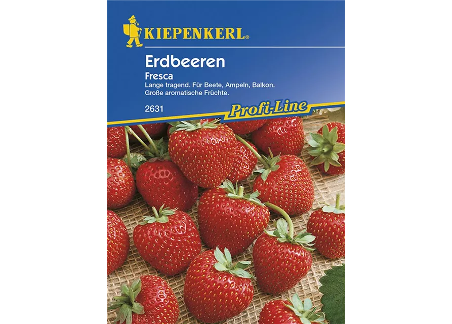 Erdbeeren Fresca