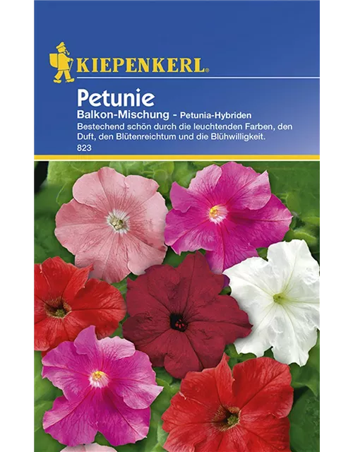 Petunia Mischung Preisgruppe B