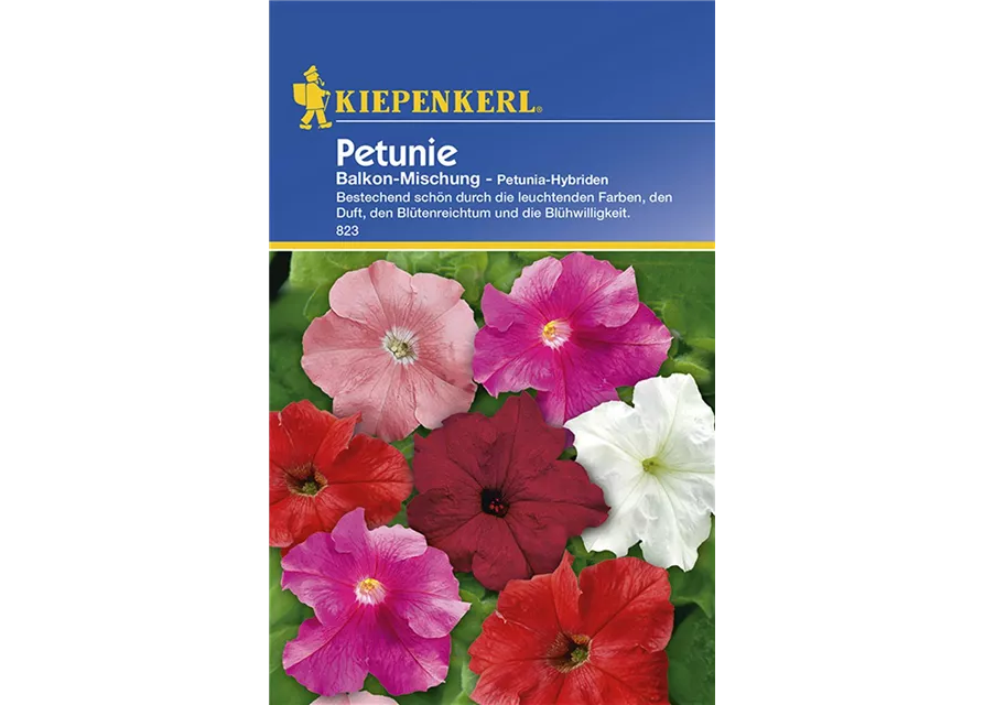 Petunia Mischung Preisgruppe B