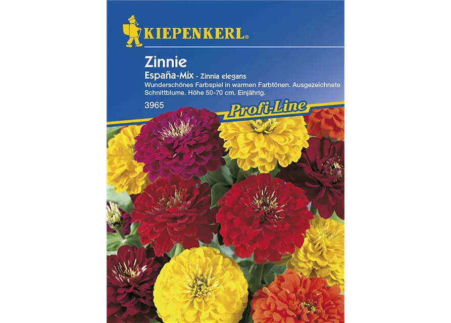 Zinnia Espana Mix