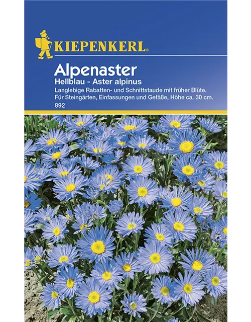 Kiepenkerl Aster Alpinus PG B