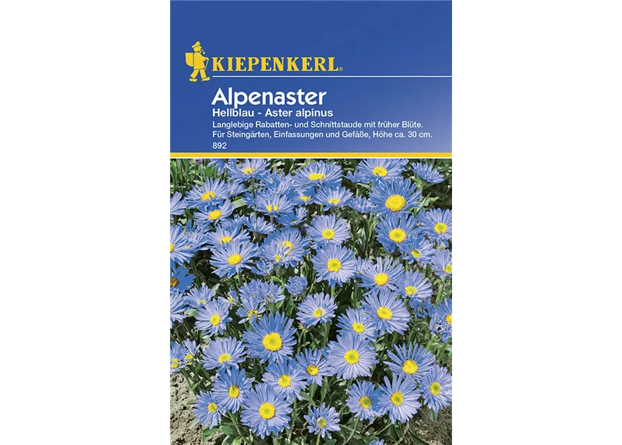 Kiepenkerl Aster Alpinus PG B