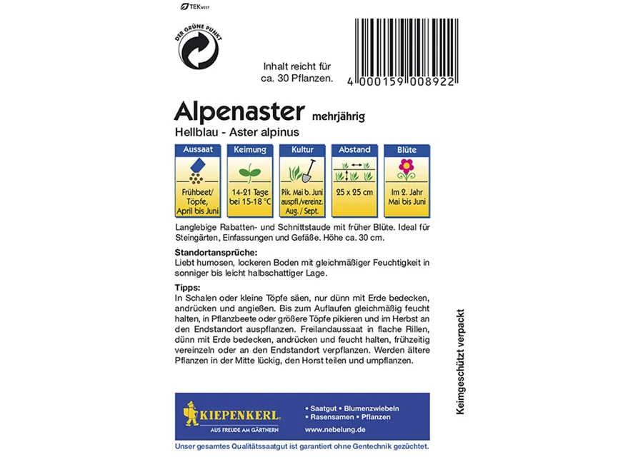 Kiepenkerl Aster Alpinus PG B