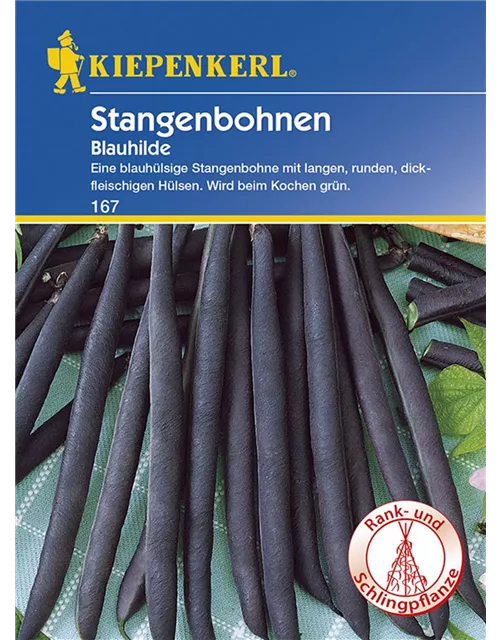 Stangenbohnen Blauhilde