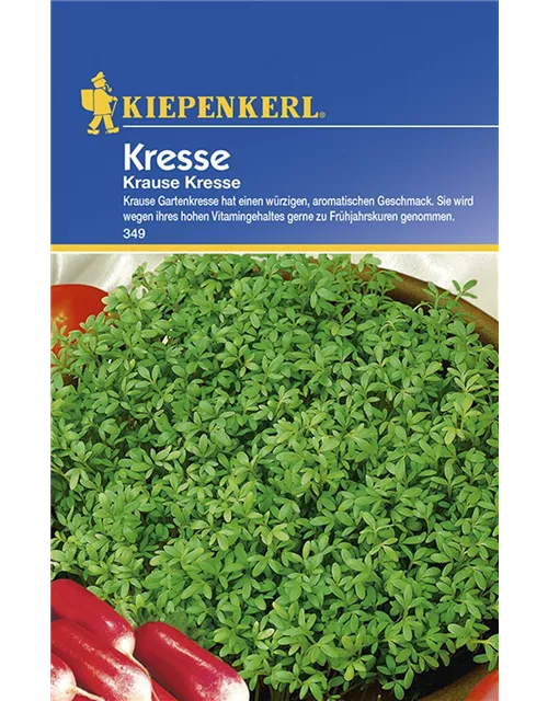 Kresse Krause