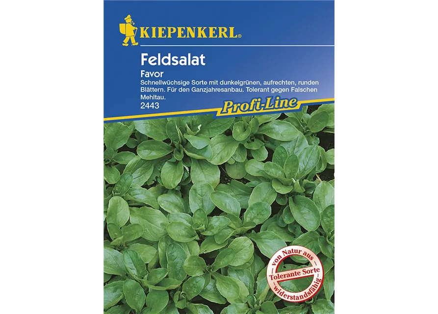 Feldsalat Favor Preisgruppe G