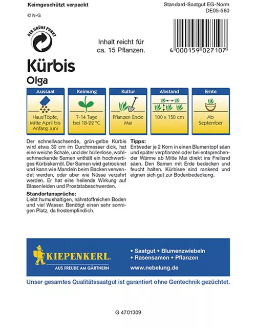 Kuerbis Comet Preisgruppe D