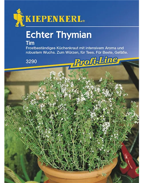 Echter Tymian Tim Preisgruppe D