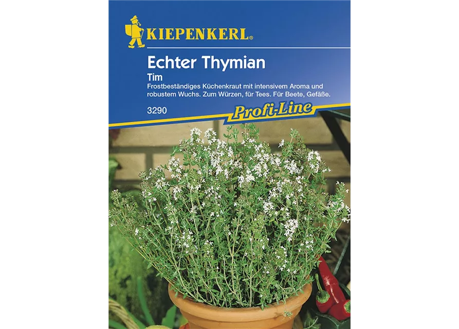 Echter Tymian Tim Preisgruppe D