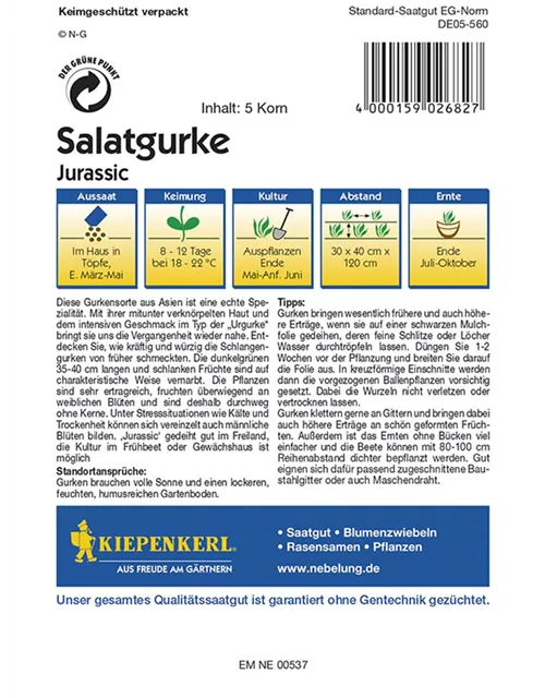 Salatgurke Jurassic