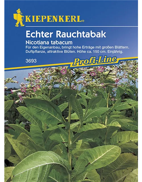 Nicotiana tabacum KIE-D