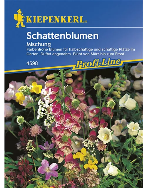 Schattenblumen-Mischung Preisgruppe O