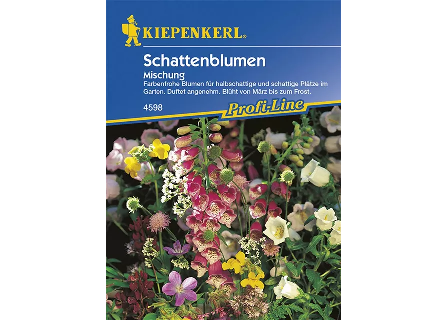 Schattenblumen-Mischung Preisgruppe O