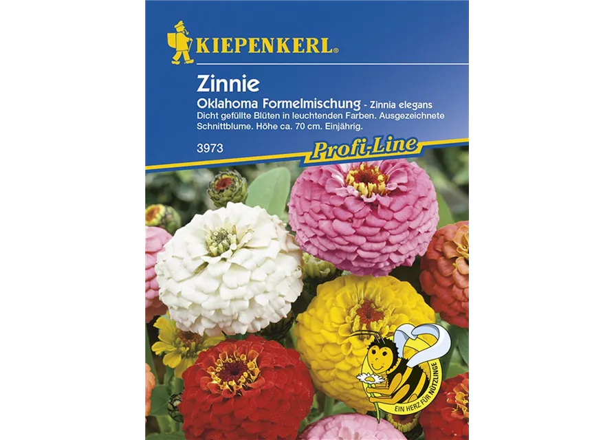 Kiepenkerl Zinnie Oklahoma Mix PG K