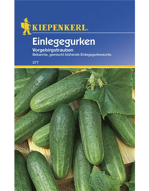 Einlegegurke Preisgruppe C