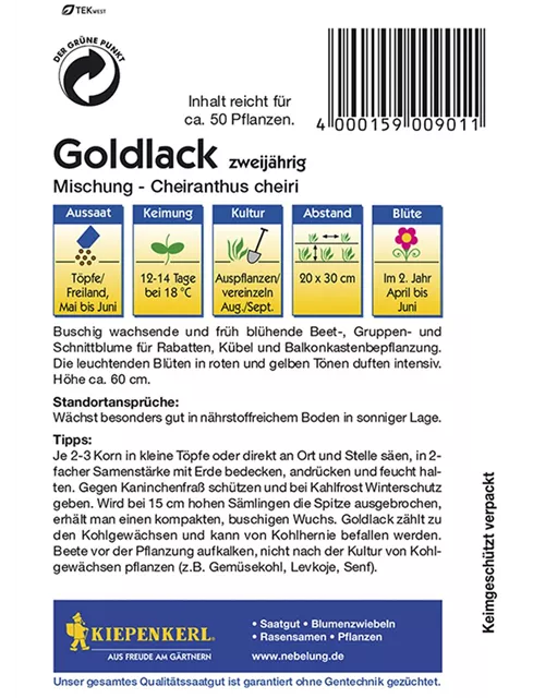 Cheiranthus Goldlack Mix Preisgruppe B