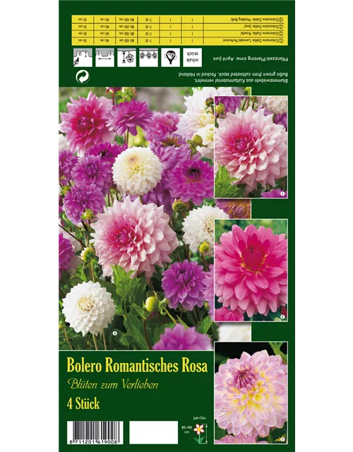 Bolero Rom. Rosa x4 Sort. Bolero Romantisches Rosa