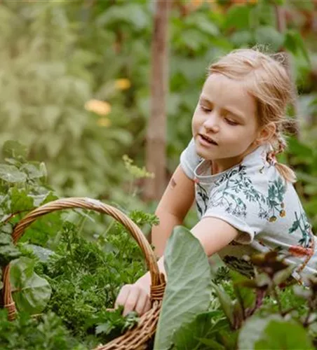 KINDER SPIELERISCH IN DIE ERNTE EINBEZIEHEN